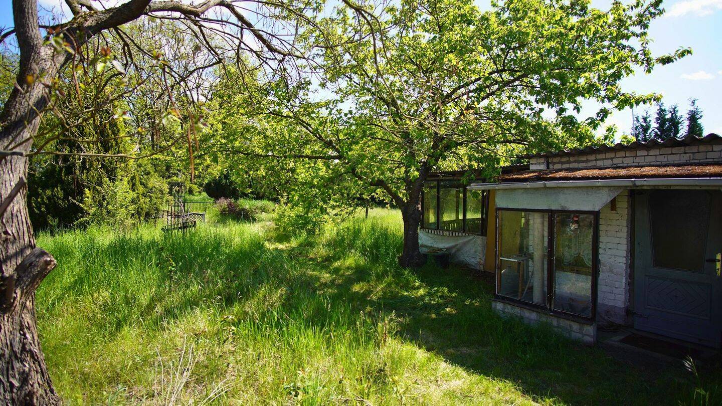 Haus – Bad Freienwalde (Oder), Märkisch-Oderland - Ansicht 4