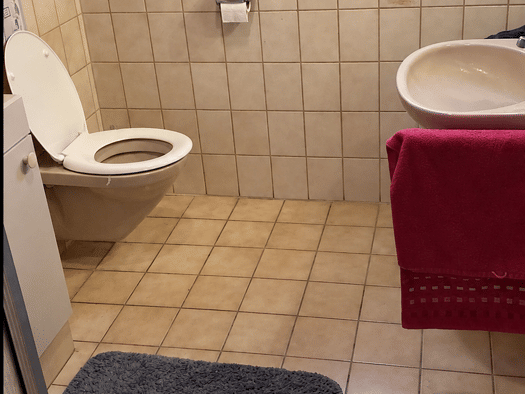 Wohnung zur Miete 350 € 1,5 Zimmer 45 m² frei ab sofort Poigham Tettenweis 94167