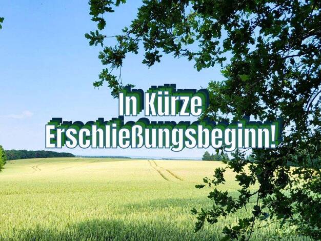 Grundstück zum Kauf provisionsfrei 1.000 m² Grundstück Kaltenhof Nordwestmecklenburg - Landkreis - Dassow 23942