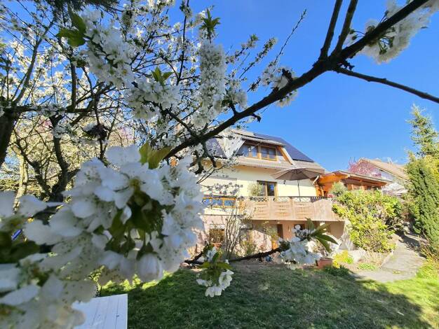 Einfamilienhaus zum Kauf provisionsfrei 549.000 € 6 Zimmer 200 m² 1.683 m² Grundstück Neundorf Plauen 08527