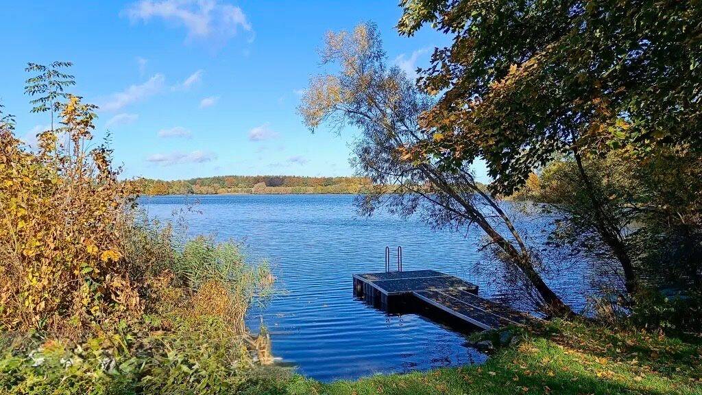 Wohnung zur Miete 950 € 2 Zimmer 64 m² frei ab sofort Gronenberg Scharbeutz 23684