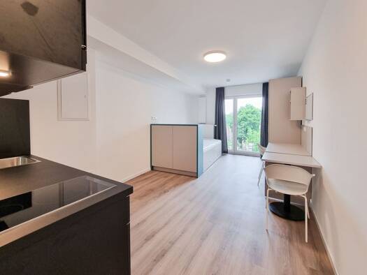 Wohnung zur Miete 485 € 1 Zimmer 28 m² 1. Geschoss frei ab sofort Ernststr. 1 St Peter Nürnberg 90478