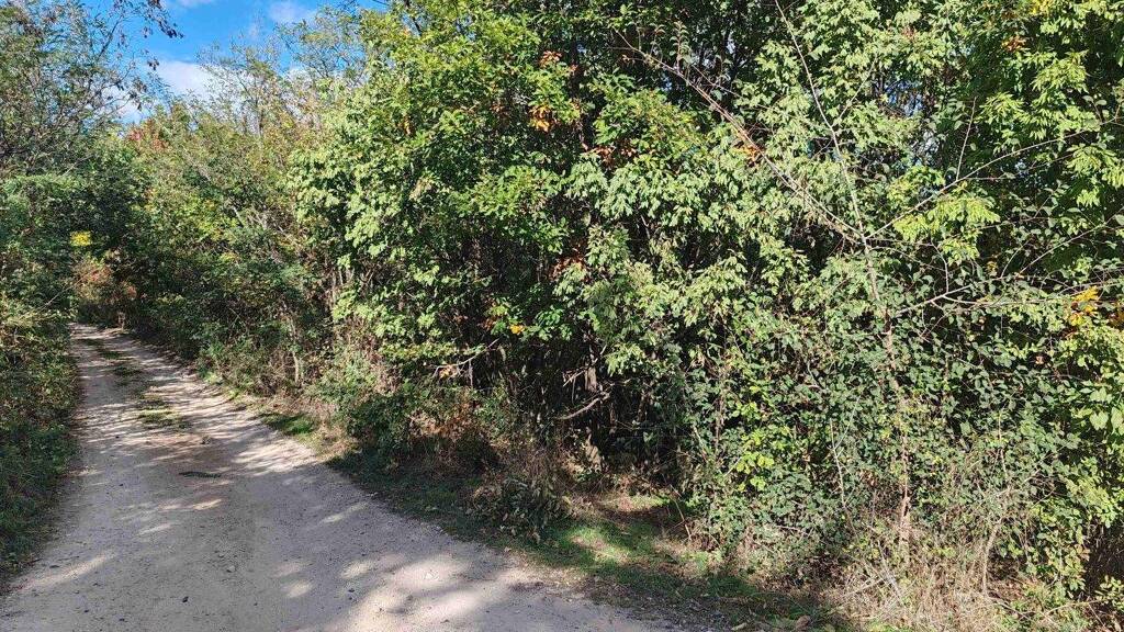 Grundstück zum Kauf 184.300 € 1.200 m² Grundstück Balatonalmádi