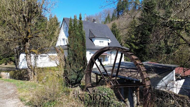 Einfamilienhaus zum Kauf 1.200.000 € 7 Zimmer 184 m² 3.413 m² Grundstück Hasel 79686