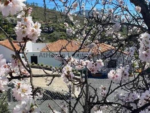 Chalet zum Kauf 546.000 € 4 Zimmer 200 m² Chío-Chiguergue Guía de Isora 38688
