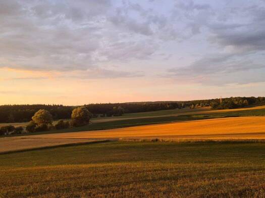 Einfamilienhaus zum Kauf 519.900 € 5 Zimmer 218 m² 300,5 m² Grundstück Appertshofen 85134