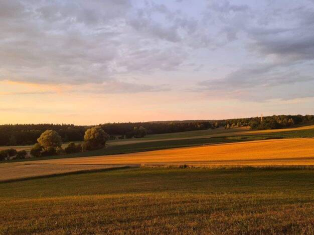 Einfamilienhaus zum Kauf 519.900 € 5 Zimmer 218 m² 300,5 m² Grundstück Appertshofen 85134