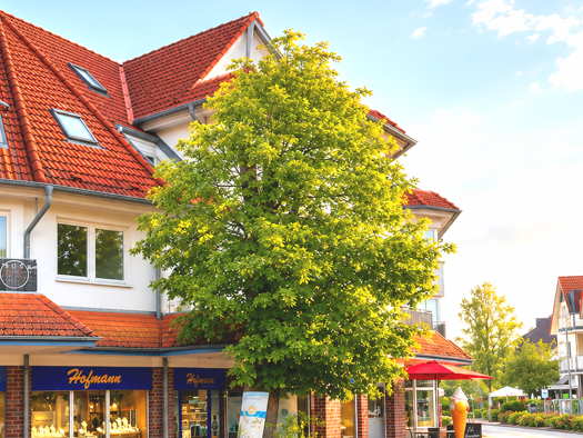 Wohnung zum Kauf 229.000 € 3 Zimmer 63 m² 1. Geschoss Zingst Zingst 18374