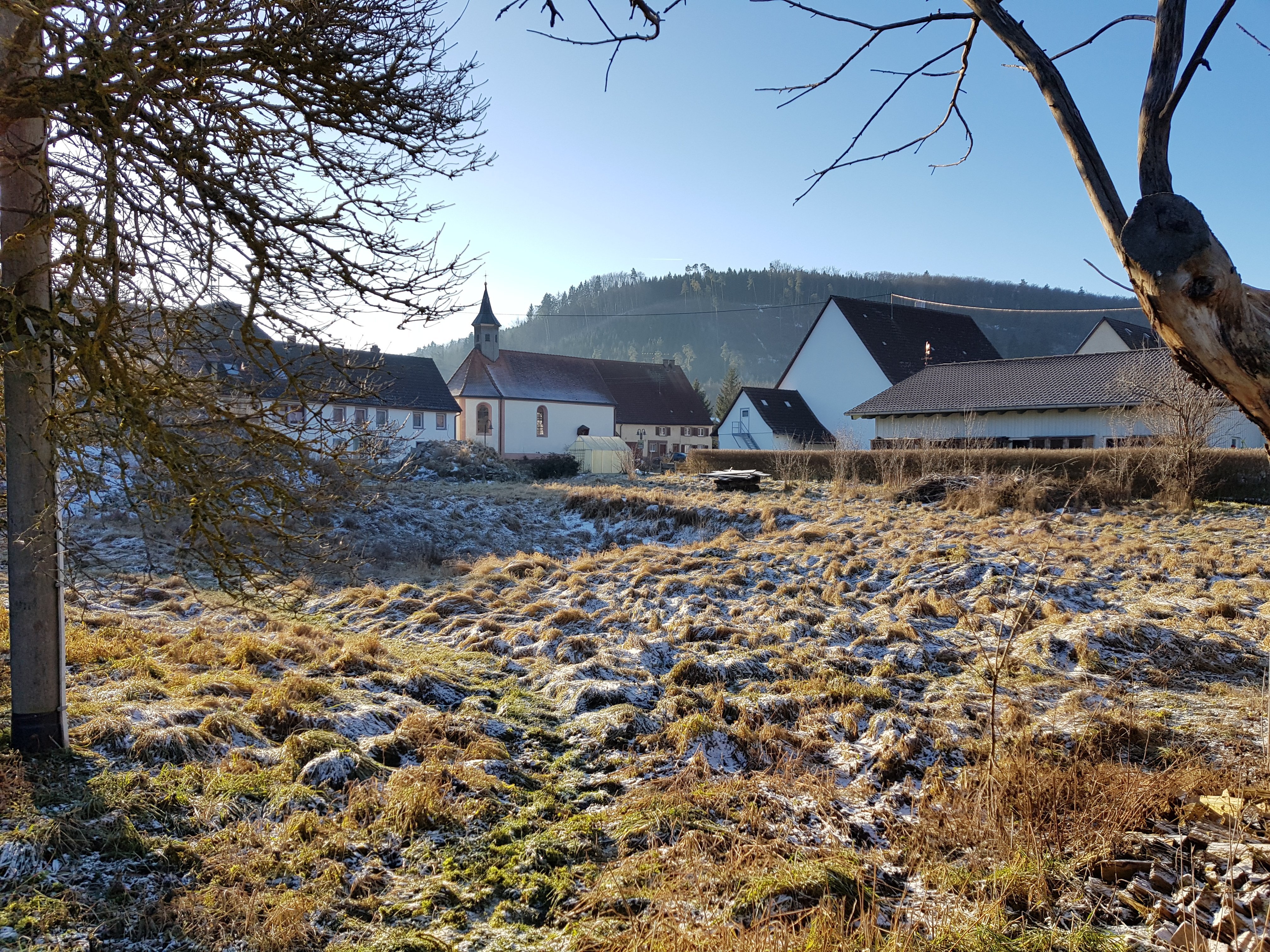 Grundstück zum Kauf provisionsfrei als Kapitalanlage geeignet 2.730 m²<br/>Grundstück Ortsstraße 5 Hintschingen Immendingen 78194