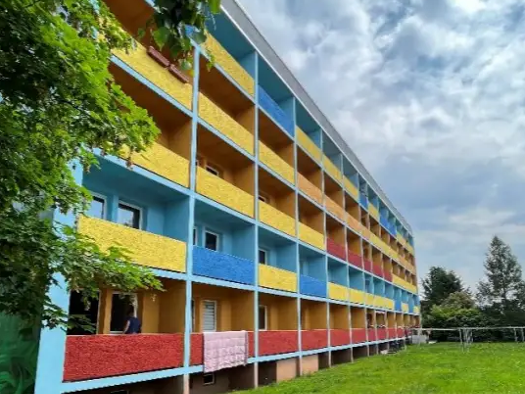 Wohnung zur Miete 174 € 29 m² frei ab 01.02.2026 Neukirchen Neukirchen/Erzgebirge 09221