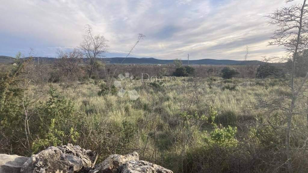 Land-/Forstwirtschaft zum Kauf 295.000 € Vodice