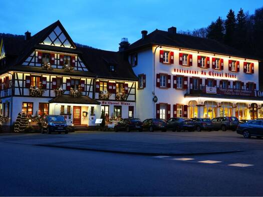 Freizeitgastronomie zum Kauf provisionsfrei 3.300.000 € 7.870 m² Grundstück Rue Principale 11 a Niedersteinbach 67510