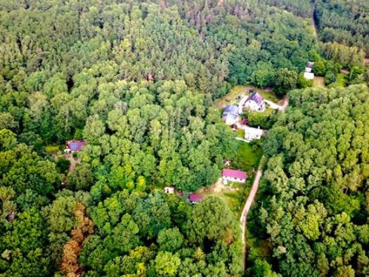 Grundstück zum Kauf 59.999 € 4.200 m² Grundstück gmina Cedynia 74-520