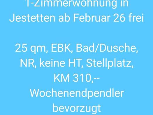 Wohnung zur Miete 310 € 1 Zimmer 25 m² Geschoss -1/2 frei ab 01.02.2026 Jestetten 79798