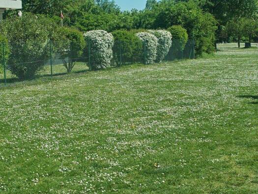 Grundstück zum Kauf 135.000 € 620 m² Grundstück Trasdorf 3452