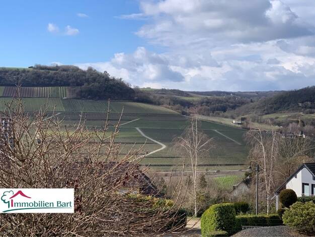 Einfamilienhaus zum Kauf 697.800 € 5 Zimmer 150 m² 636 m² Grundstück Rehlingen Nittel / Rehlingen 54453