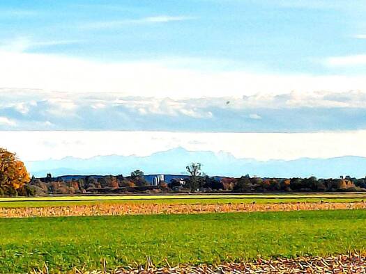 Wohnung zum Kauf 300.000 € 2 Zimmer 58 m² 1. Geschoss Rammingen 86871