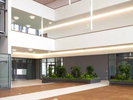 Bürofläche zur Miete provisionsfrei 21 € 226 m² Bürofläche teilbar ab 225 m² Aubing-Lochhausen-Langwied München 81249