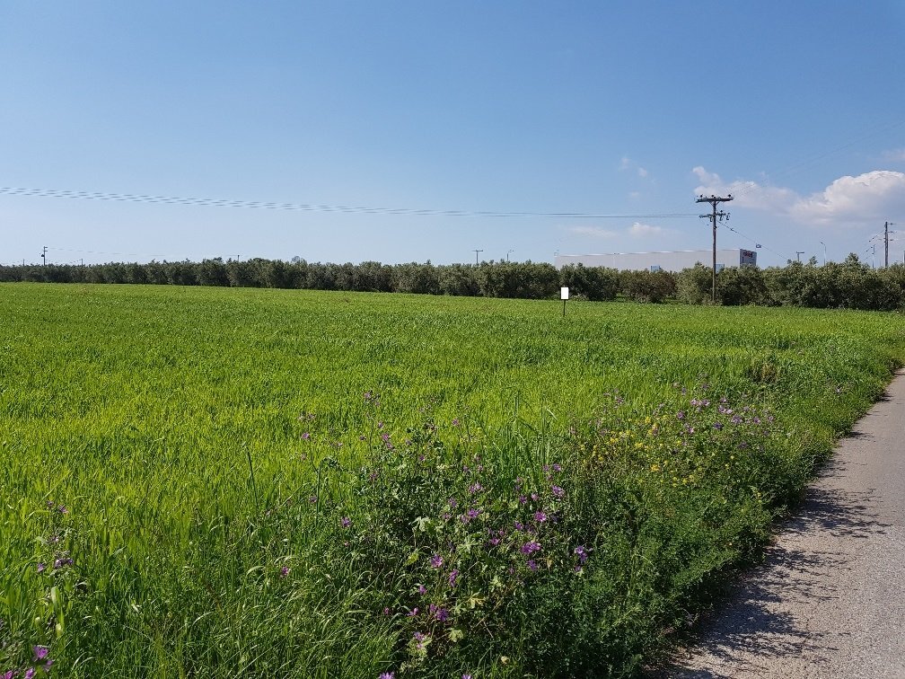 Land-/Forstwirtschaft zum Kauf 650.000 € 16.856 m²<br/>Grundstück Chalkidiki