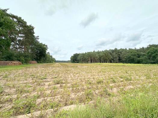 Land-/Forstwirtschaft zum Kauf 37.117 m² Grundstück Lathen Oberlangen 49762