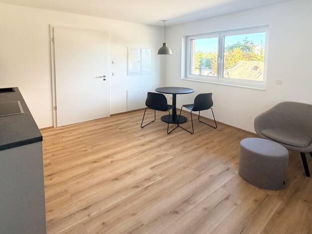 Wohnung zur Miete 620 € 1 Zimmer 26,9 m² EG frei ab 15.10.2026 Höfen Nürnberg 90431