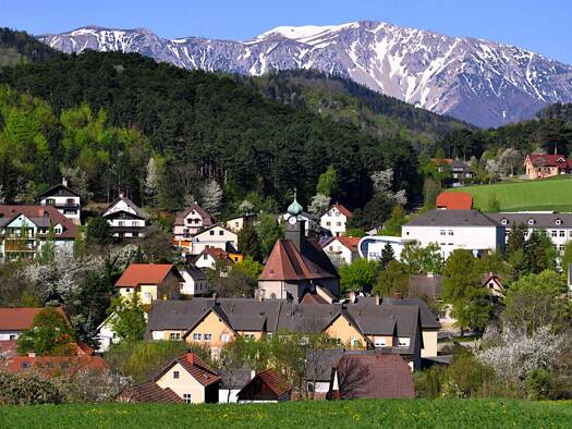 Haus zum Kauf 148.000 € 3 Zimmer 84 m² 160 m² Grundstück Grünbach am Schneeberg 2733