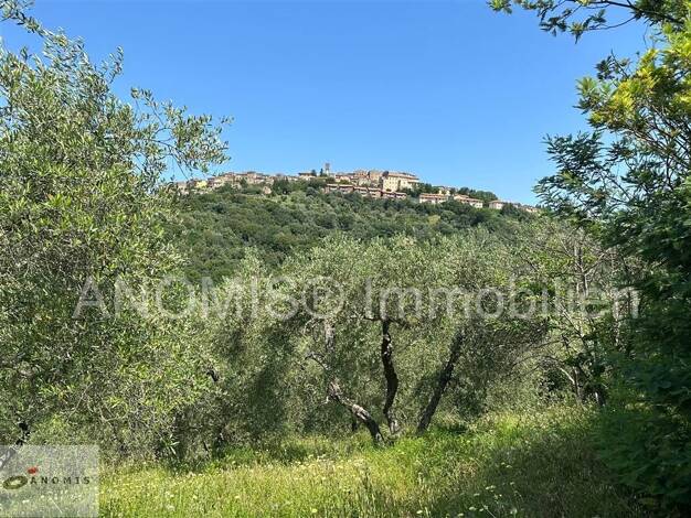 Freizeitgrundstück zum Kauf 12.000 € 5.000 m² Grundstück Civitella Paganico 58045