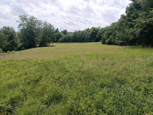 Forstwirtschaft zum Kauf 225.000 € 56.320 m² Grundstück Liebmannsberg Grattersdorf 94541