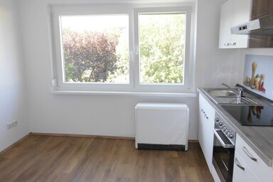 Wohnung zur Miete 500 € 1,5 Zimmer 36 m² 1. Geschoss Altenfurt - Moorenbrunn Nürnberg 90475