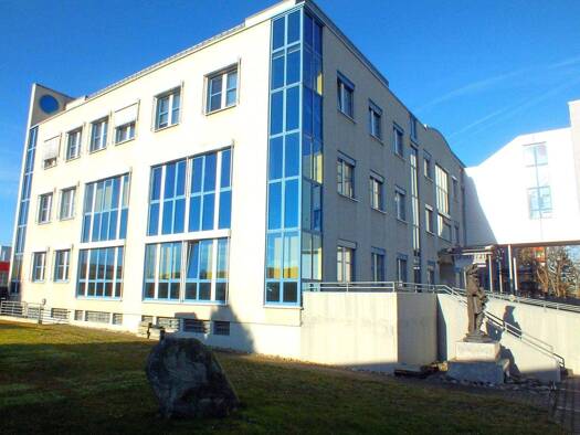Bürofläche zur Miete 1.408 € 5 Zimmer 216,6 m² Bürofläche Rüsselsheim Rüsselsheim am Main 65428