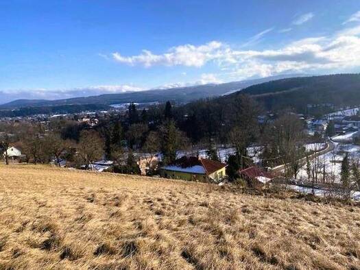 Grundstück zum Kauf 87.000 € 1.593 m² Grundstück Pottschach 2630