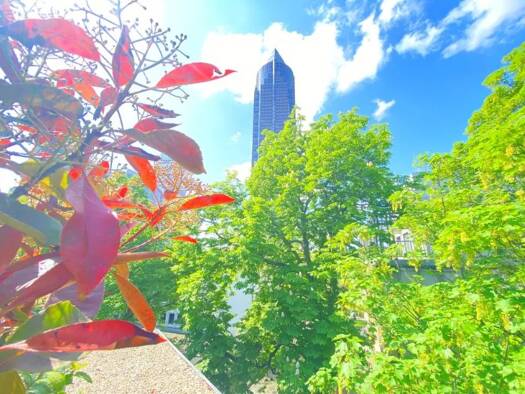 Terrassenwohnung zum Kauf 850.000 € 2 Zimmer 82,1 m² 3. Geschoss frei ab 01.07.2026 Westend-Süd Frankfurt am Main 60325