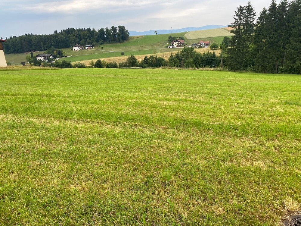 Grundstück zum Kauf 450.000 € 3.813 m²<br/>Grundstück Esternberg 4092