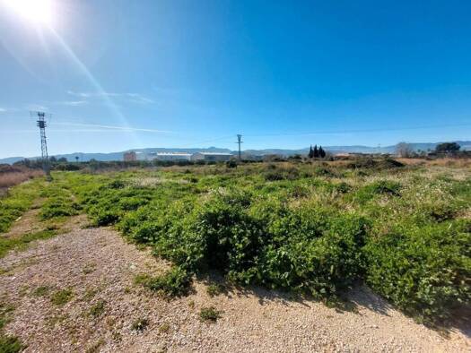 Acker-/Waldstück zum Kauf 59.000 € Beniarbeig 03778