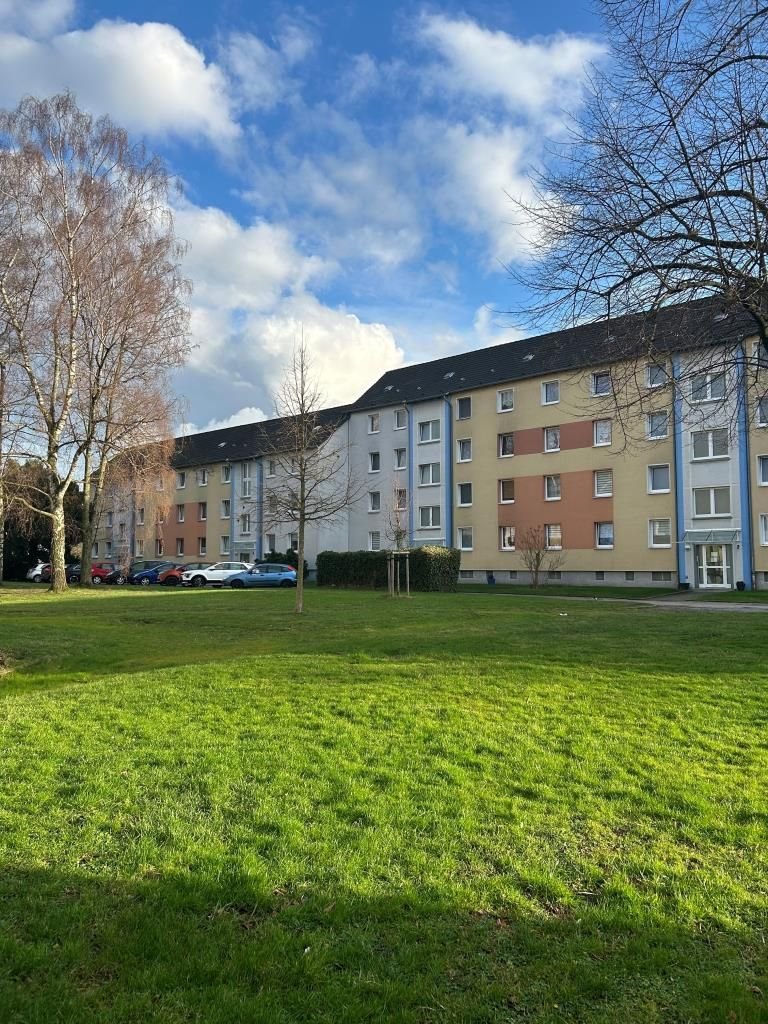 Wohnung zur Miete 440 € 2,5 Zimmer 46,8 m²<br/>Wohnfläche 3.<br/>Geschoss Zur Nieden 4 Altenessen-Süd Essen 45326