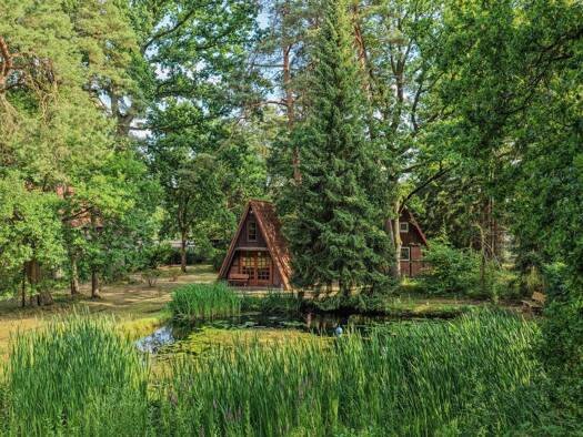 Gewerbegrundstück zum Kauf 385.000 € 4.307 m² Grundstück An der Raubkammer Breloh Munster 29633