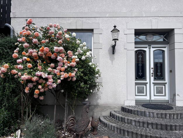Haus zum Kauf provisionsfrei 899.000 € 10 Zimmer 345 m² 7.985 m² Grundstück Sophiental Wendeburg 38176