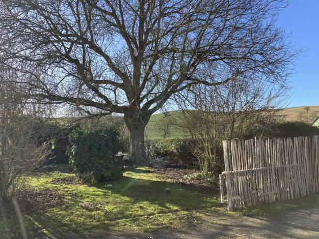 Bauernhof zum Kauf provisionsfrei 489.000 € Grebenstein 34393