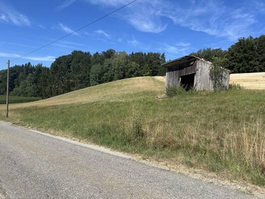 Land-/Forstwirtschaft zum Kauf 48.000 € 8.000 m² Grundstück Wetzl Zeilarn 84367