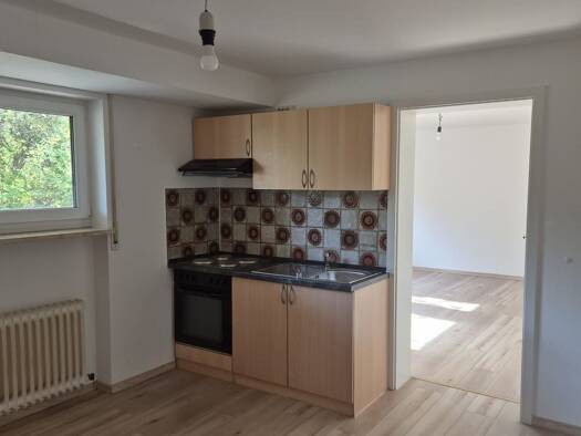 Wohnung zur Miete 360 € 2 Zimmer 48 m² Geschoss -1/3 frei ab sofort Ulmenstraße 26 Reichenschwand Reichenschwand 91244