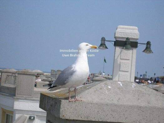 Wohnung zur Miete 700 € 2 Zimmer 70 m² frei ab 01.02.2026 Warsingsfehn Moormerland 26802