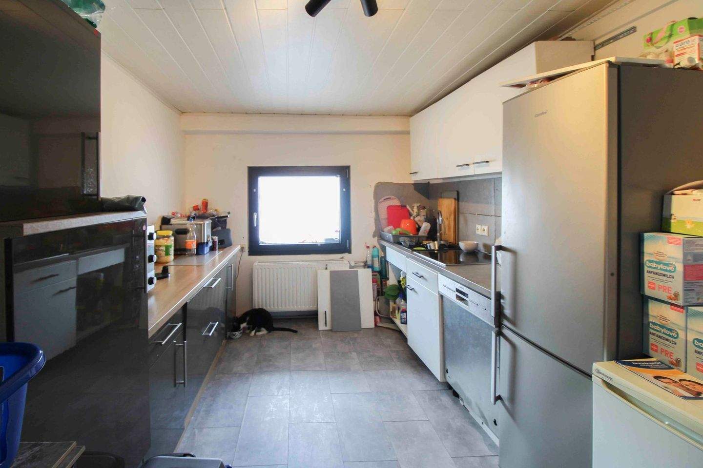 Immobilie in Monsheim - 1 Grundstück, 2 Häuser, 3 Einheiten - JETZT ZUSCHLAGEN - Bild 3