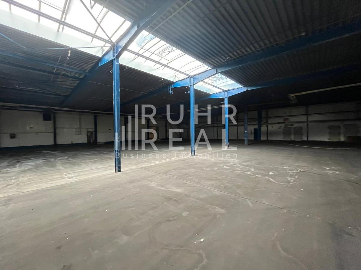 Halle/Industriefläche zur Miete 4,90 € 1.000 m²<br/>Lagerfläche ab 1.000 m²<br/>Teilbarkeit Rodenkirchen Köln 50996