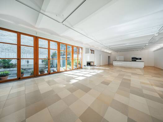 Loft zum Kauf 2.490.000 € 6 Zimmer 380,8 m² Alsergrund 1090