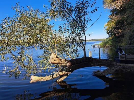 Grundstück zum Kauf 450.000 € 1.561 m² Grundstück Motzen Mittenwalde 15749