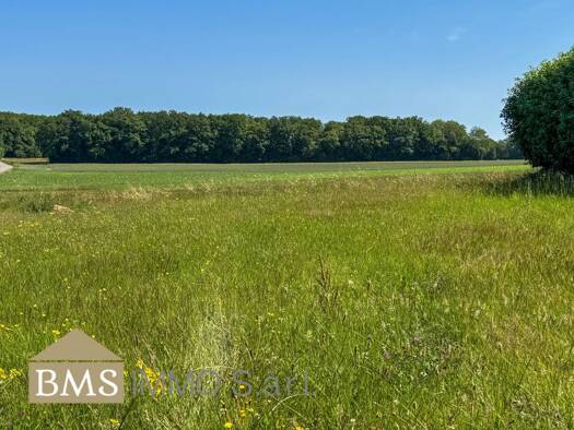 Grundstück zum Kauf 125.000 € 591 m² Grundstück Ferschweiler 54668