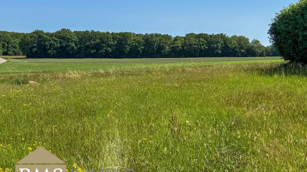 Grundstück zum Kauf 125.000 € 591 m² Grundstück Ferschweiler 54668