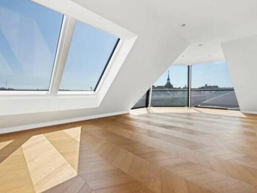 Wohnung zum Kauf 15.900.000 € 5 Zimmer 368 m² Wien 1010