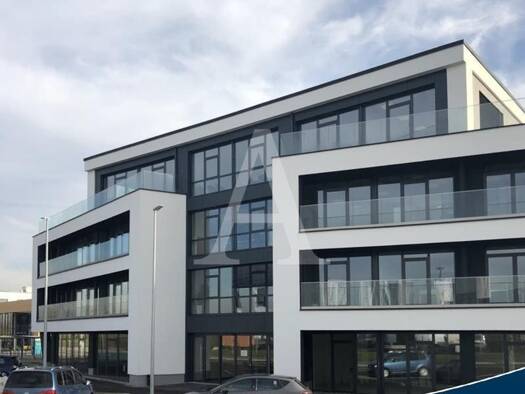 Büro zur Miete 1.306 m² Bürofläche Roisdorf Bornheim 53332