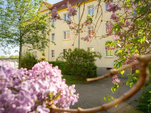 Wohnung zur Miete 332 € 2 Zimmer 48,9 m² 2. Geschoss Roßbachstraße 43 Lutherplatz Süd 06112